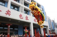 醒狮贺岁，网站名称2019年开工大吉